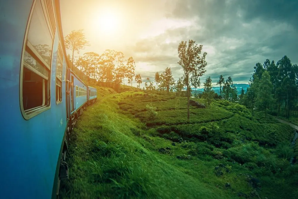 Rondreis Sri Lanka Treinreis