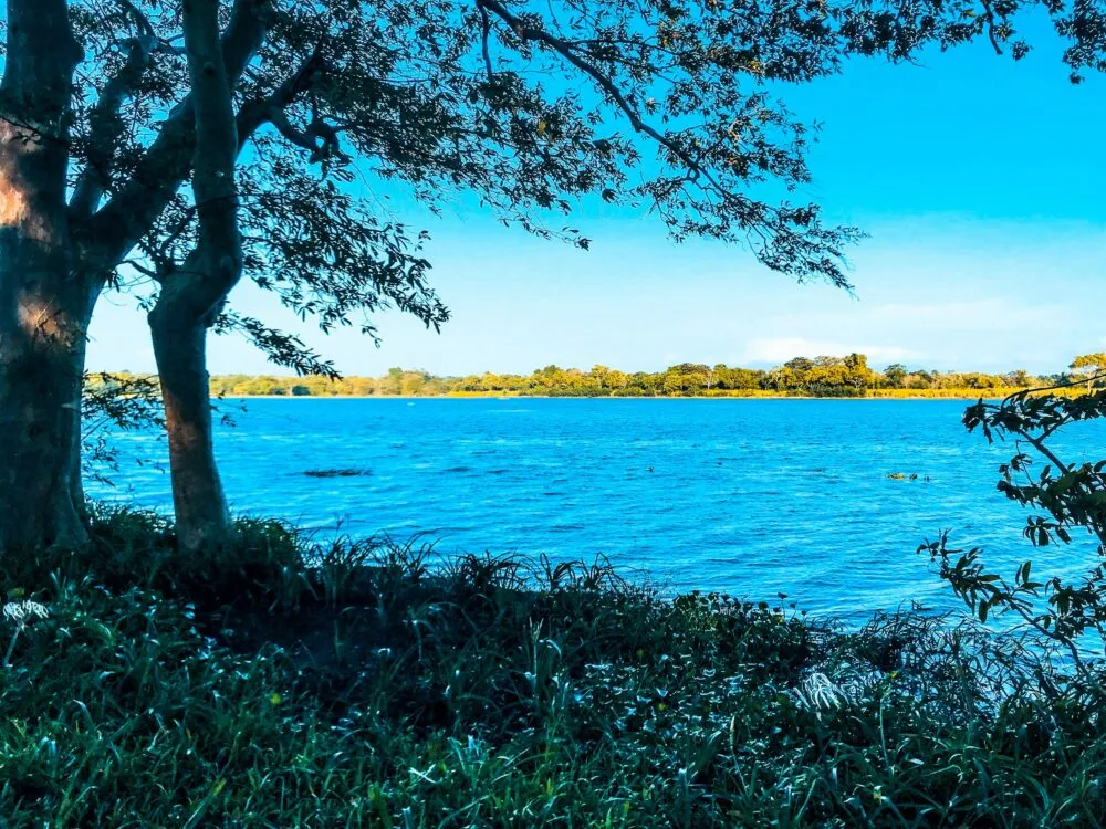 Sri Lanka Habarana Rivier Natuur