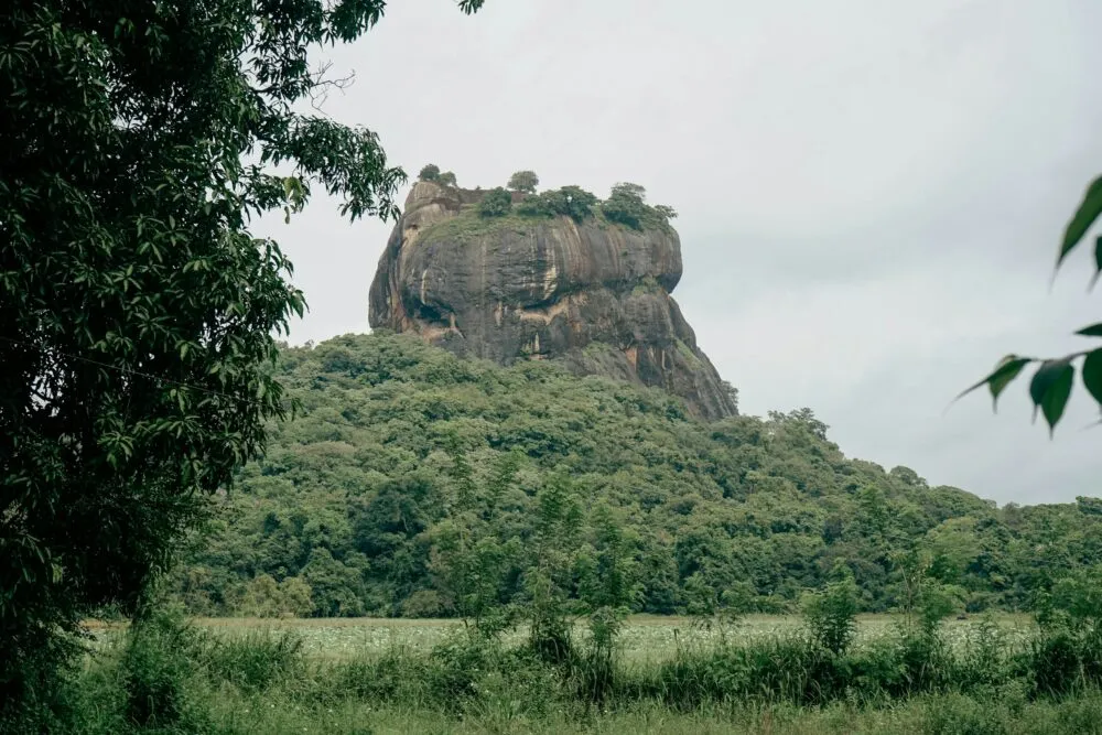 Sri Lanka Leeuwenrots Groen Gefotografeerd Vanaf Beneden