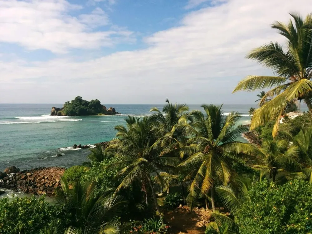 Sri Lanka Mirissa Palmbomen Natuur Zee