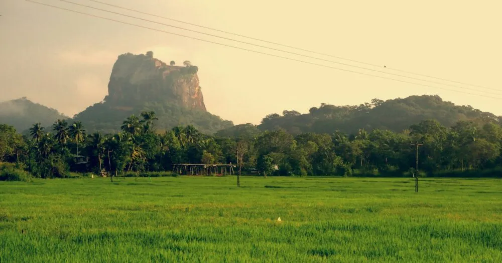 Sri Lanka Sigiriya Leeuwenrots Uizicht Vanaf Rijstveld