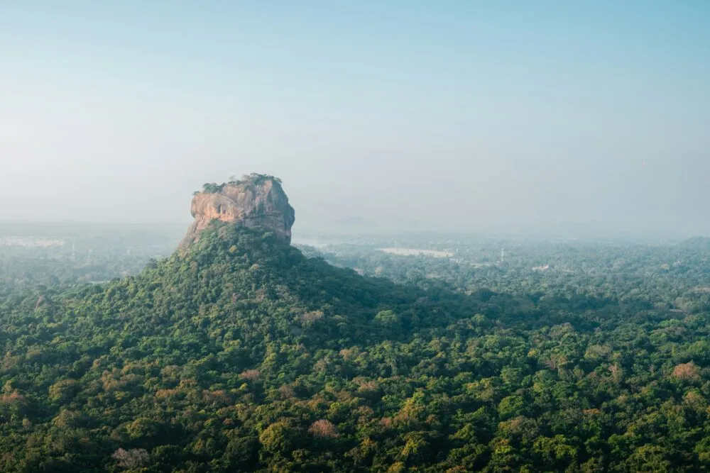 Sri Lanka Leeuwenrots Natuur Berg