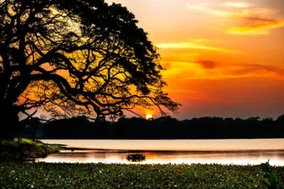 Wilpattu tijdens zonsondergang